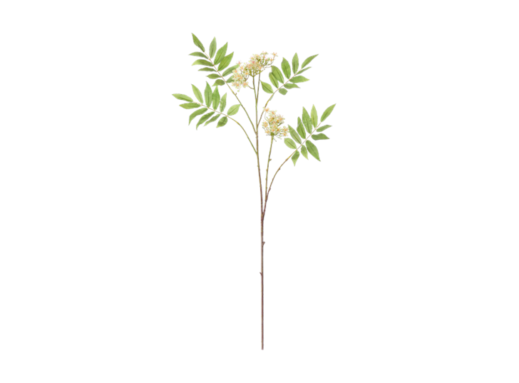 Rowan Blossom Stem_White_Front