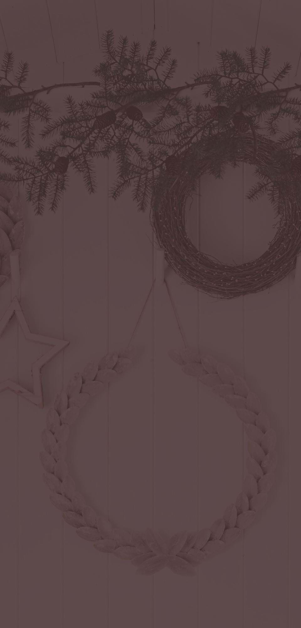 Large-NEPTUNE_CHRISTMAS_TABLE_DECS_3_XM17_PR_V1 clove overlay