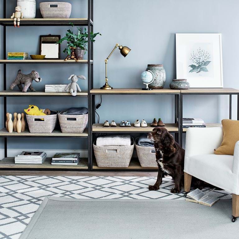Carter bookcases flipped with dog