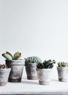 PLANT POTS_005