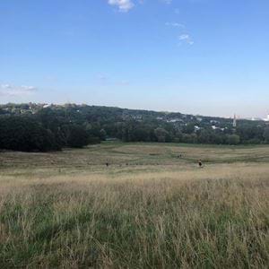 Hampstead Heath