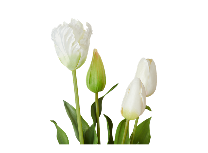 Tulip Bunch_Detail