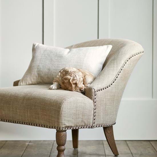 SS20_AUDREY_PUPPY_072