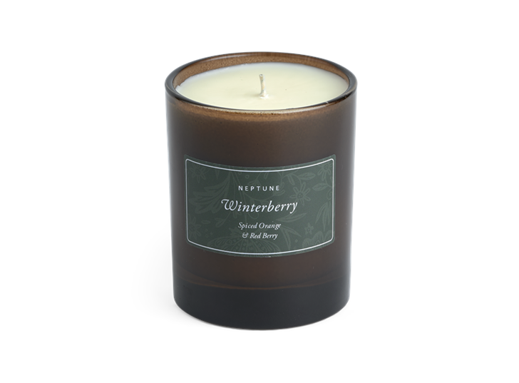 Winterberry Candle, Spiced Orange and Red Berry