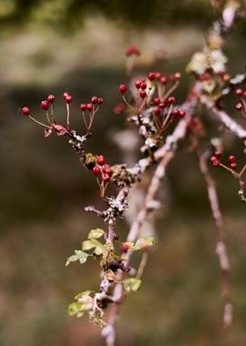 Touch Story - Faraway Farm  28