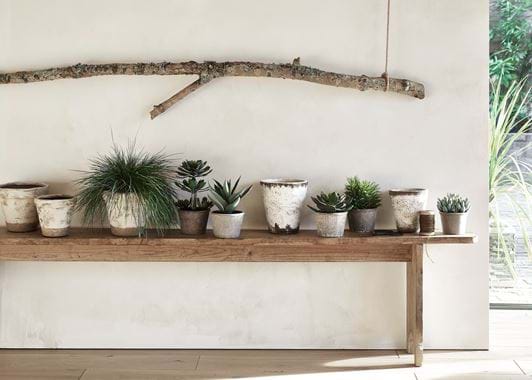 SS20_FAUX_SUCCULENTS024