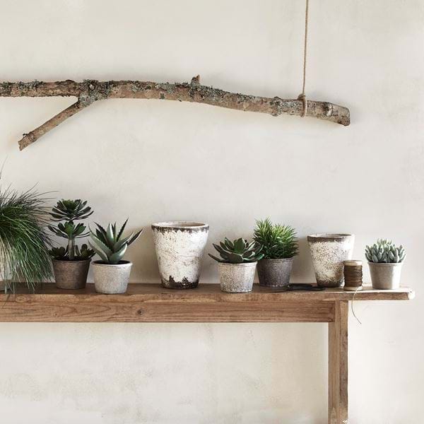 SS20_FAUX_SUCCULENTS024