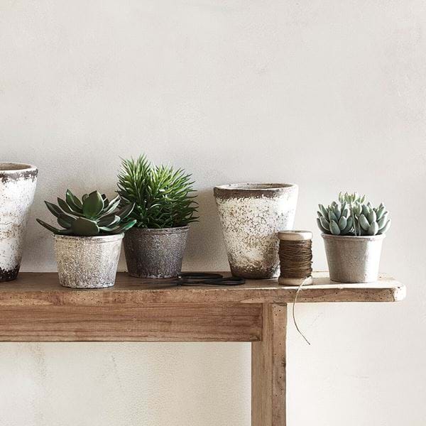 SS20_FAUX_SUCCULENTS024