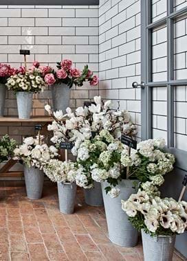 Neptune_Colchester_Showroom_03