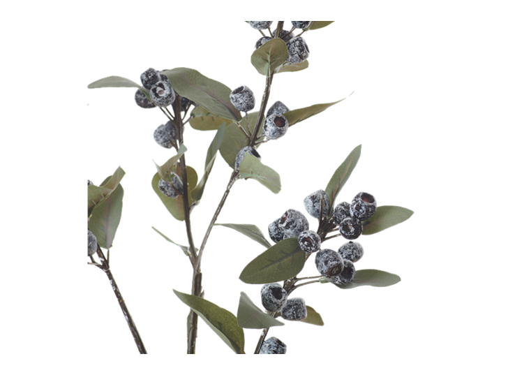 Eucalyptus Berry Spray_Damson_Detail