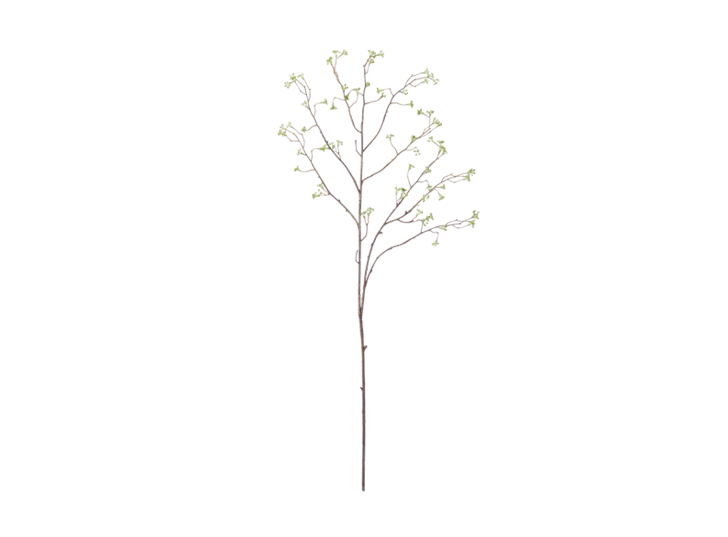 Corn Parsley Twig_Green_Front