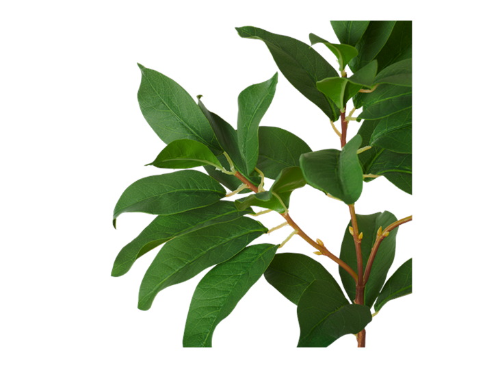 Laurel Leaf_Detail