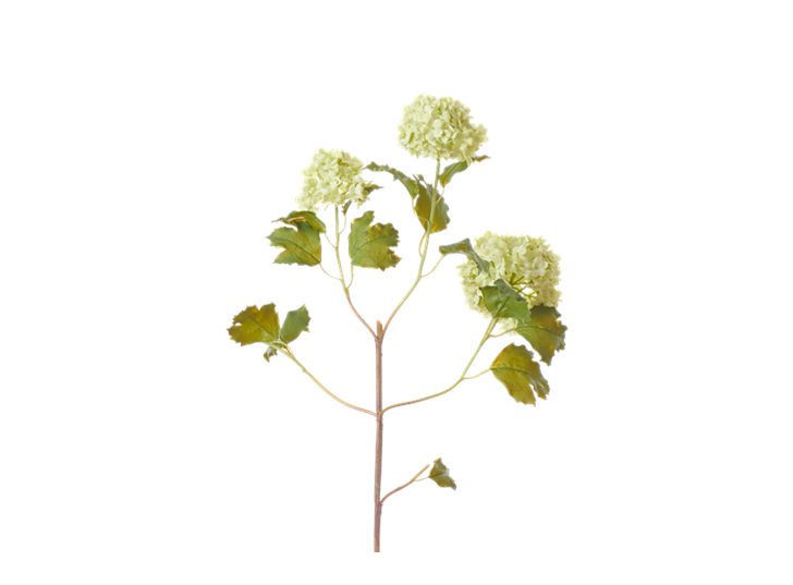 Snowball Stem_Green_Square