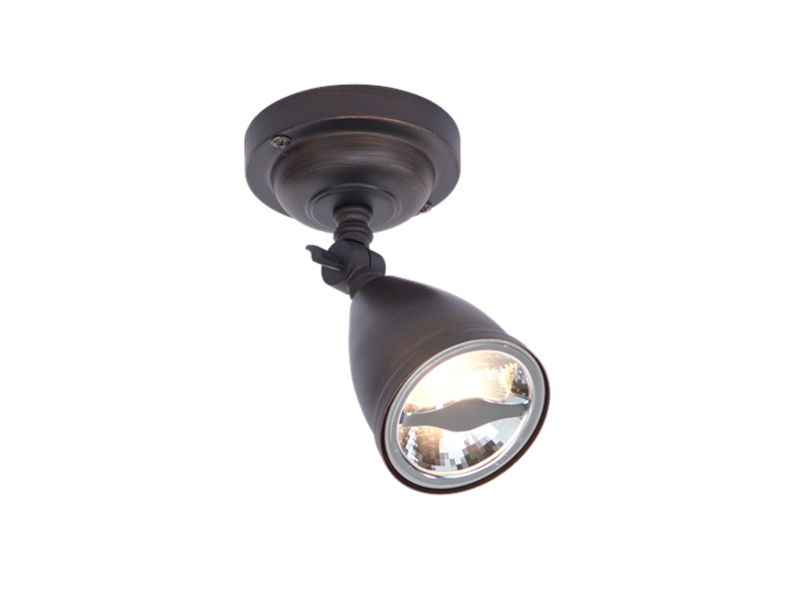 FOster AR70 Adjustable Wall Bronze 1