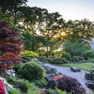 wisley-2-via-visit-surrey