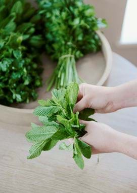 Provenist herb selection 1