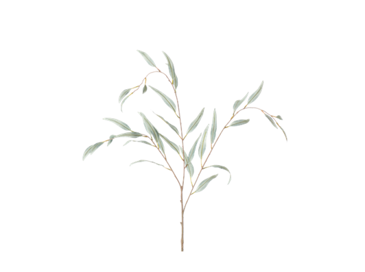 Olive Branch_Green_Square