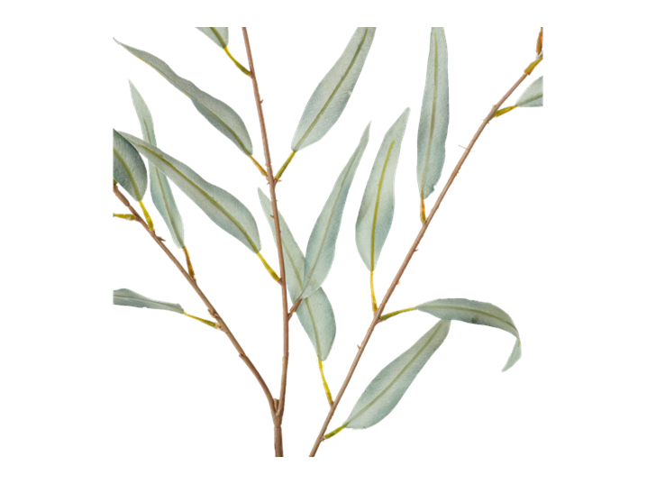 Olive Branch_Green_Detail