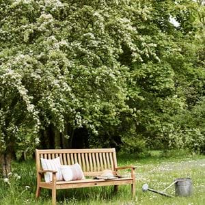 CANTERBURY_BENCH_PORTRAIT_002