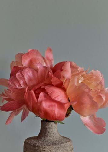 Peony_Detail 03