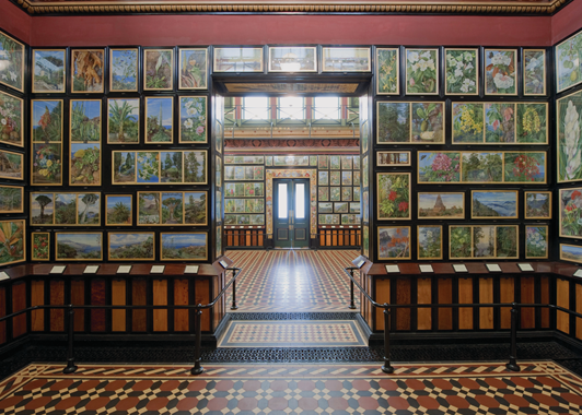 Marianne North Gallery RT