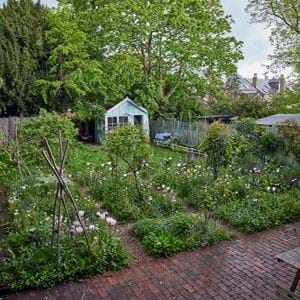 Jane Cumberbatch garden - 21/05/2021 21