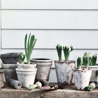 PLANT_POTS_026