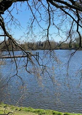 Hampstead Heath