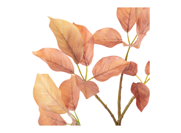 Beech Spray_Burnt Orange_Detail