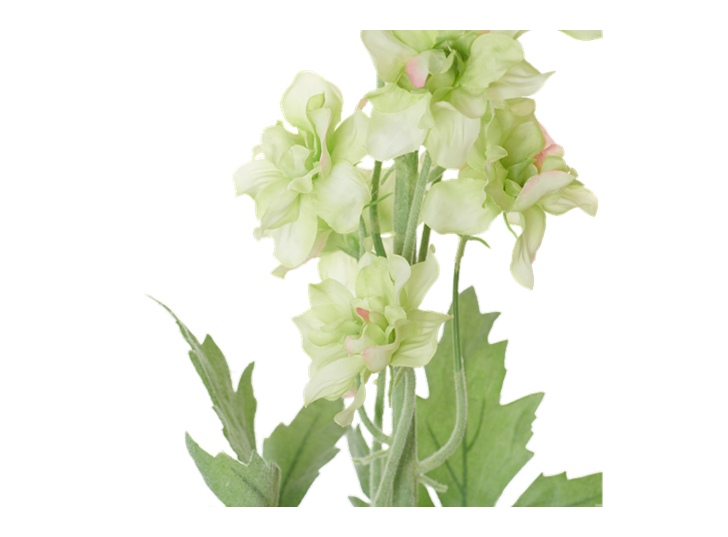 Delphinium Stem_Green_Detail