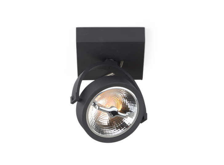 AR111 Surface Mounted Fixtute Single Black 1