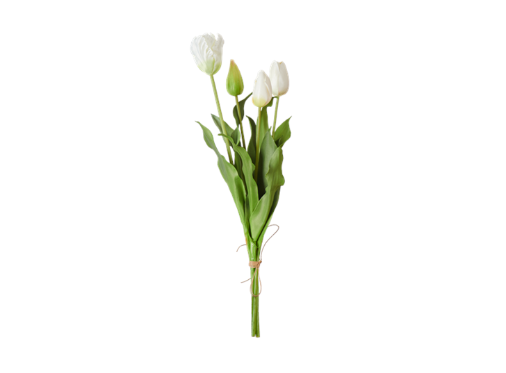Tulip Bunch_Front