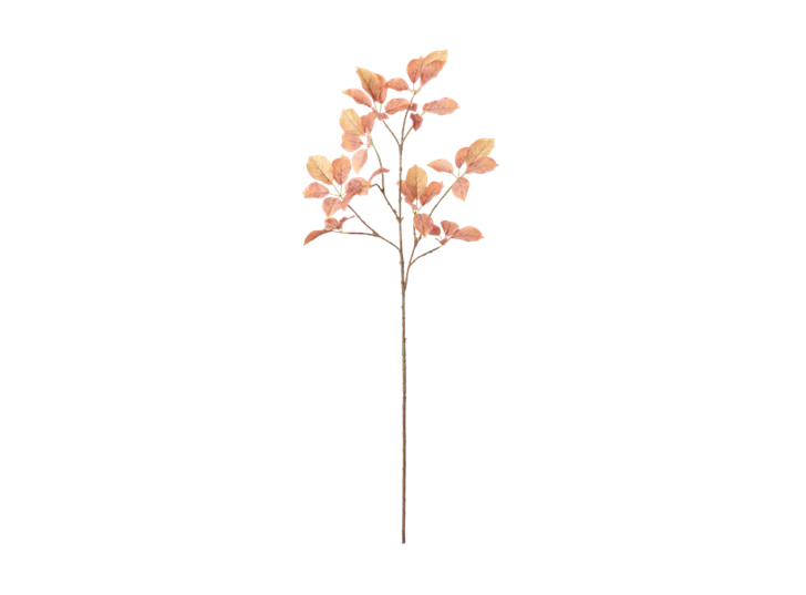 Beech Spray_Burnt Orange_Front