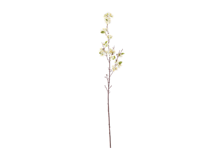Apple Blossom_White_Front