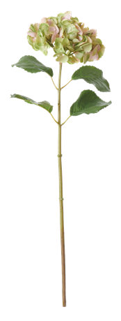 Hydrangea Stem_Soft Pink_Front
