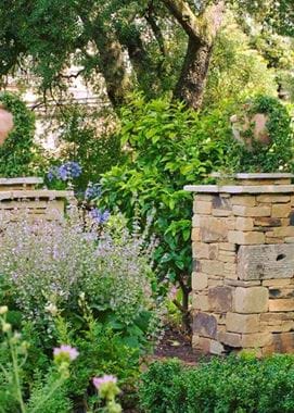 chelsea physic garden via facebook