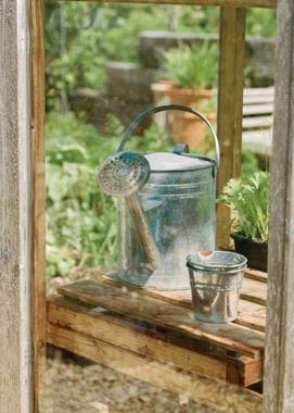 Kirsty's Vegetable Garden-56