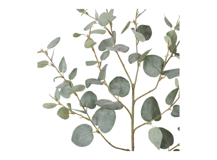 Eucalyptus Greenspray Green_Detail