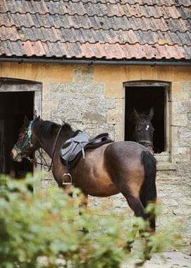 CHURCH_FARM_KCS_1_237