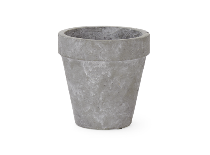 Tarragon Pot Large Pale Cement Front