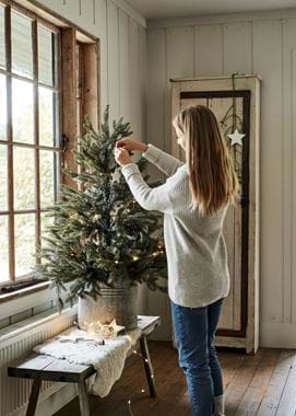 Tree dressing with model