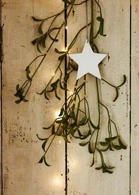 Mistletoe lights