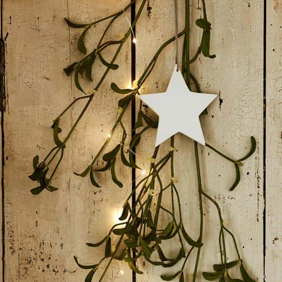Mistletoe lights