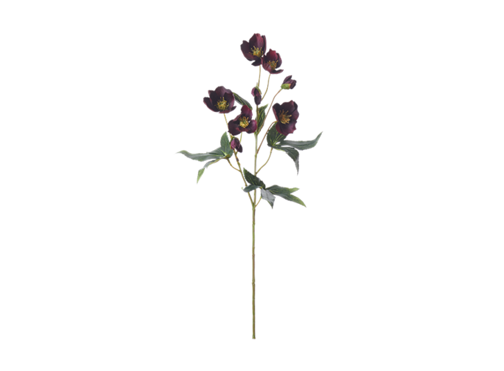 Hellebores Spray_Burgundy_Front