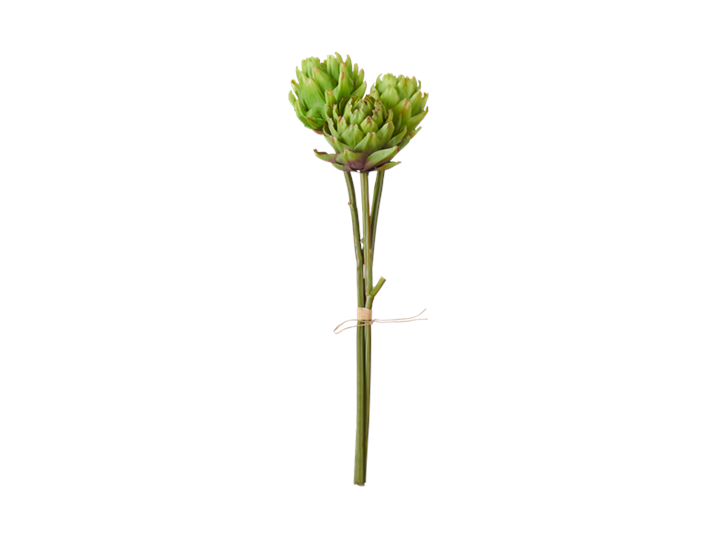 Artichoke Bunch_Front