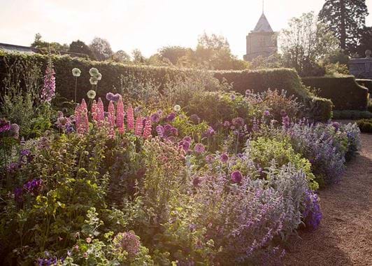 13246304_1017871464994016_8480232891172009082_o