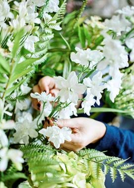 Flower Arranging Delphinium Detail