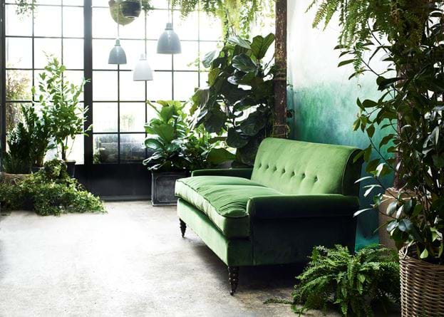 Sofa