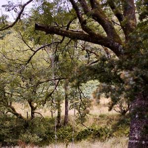 Touch Story - Faraway Farm 50