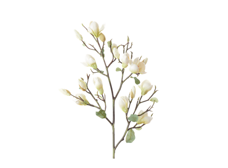 Magnolia Spray_Green_Square
